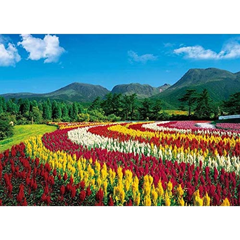 APPLEONE Jigsaw Puzzle 500-253 Celosia Argentea Mount Kuju Oita Japan (500 Pieces)