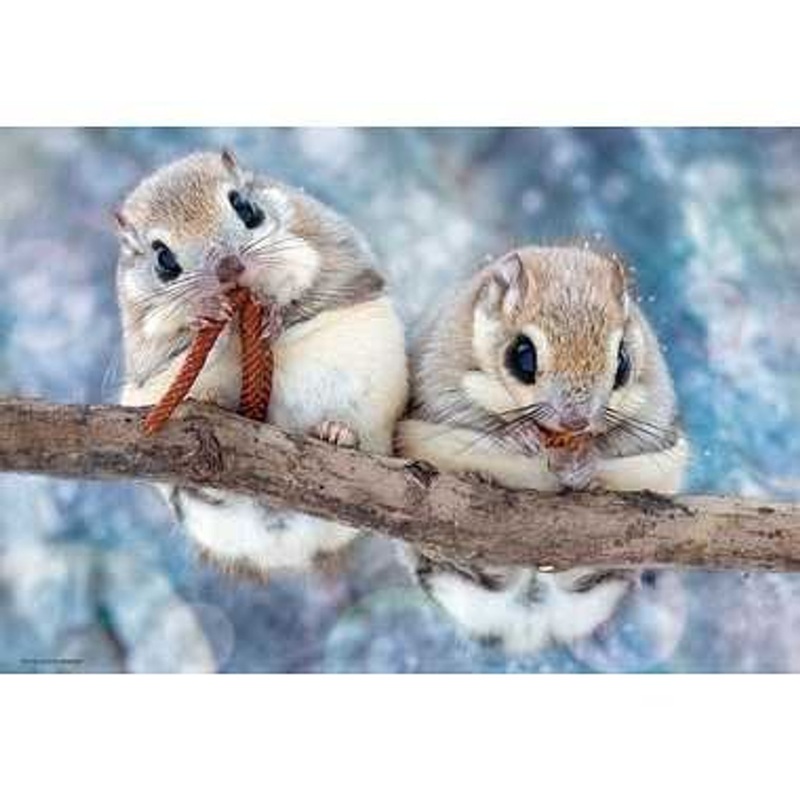 Beverly 300-102 Jigsaw Puzzle Mogumogu Ezomomonga  (300 Pieces)