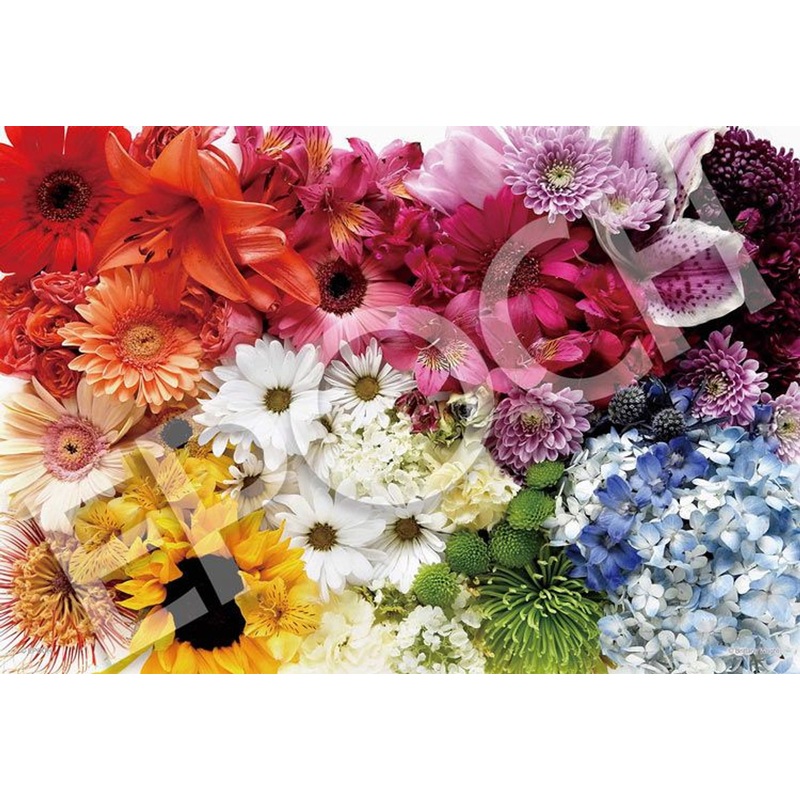 Epoch 31-520 Jigsaw Puzzle Flower Rainbow by Brittany Wright (1053 S-Pieces)