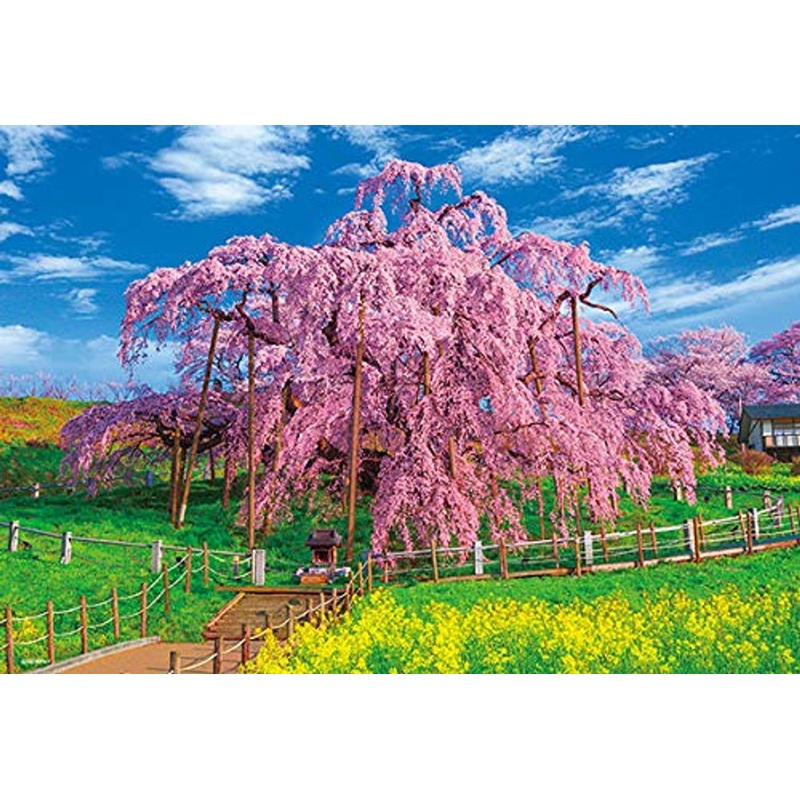 Beverly Jigsaw Puzzle 33-165 Japan Miharu Takizakura in Full Bloom (300 Pieces)