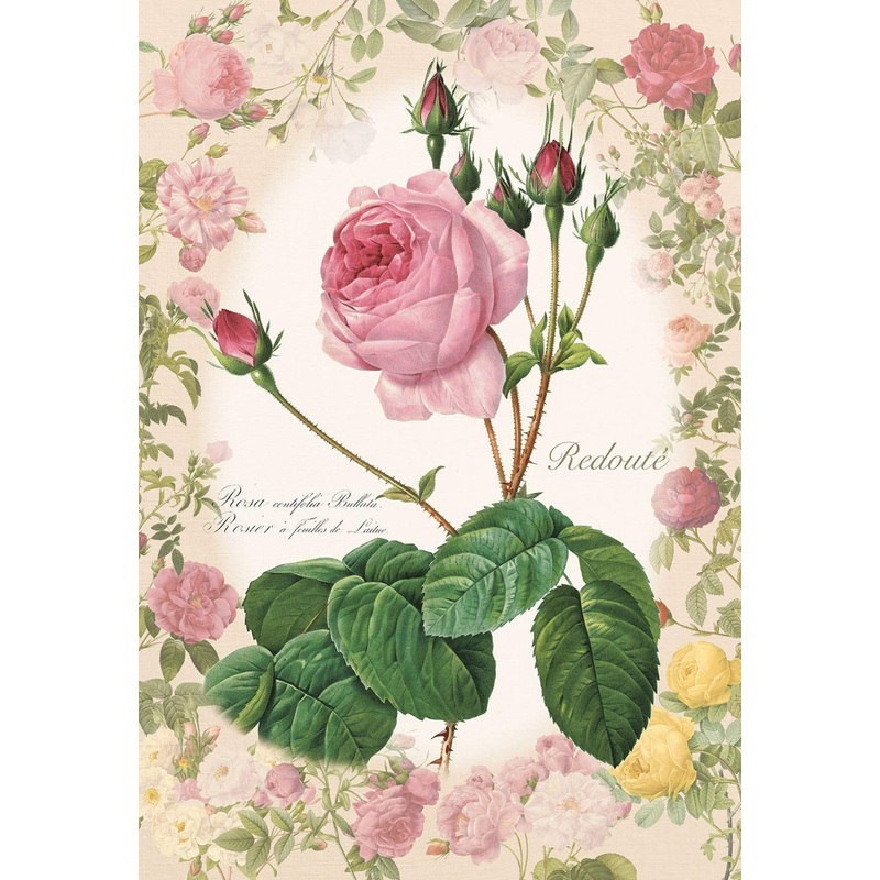 Epoch Jigsaw Puzzle 26-321 Redoute Rose Story Flower (300 Pieces)