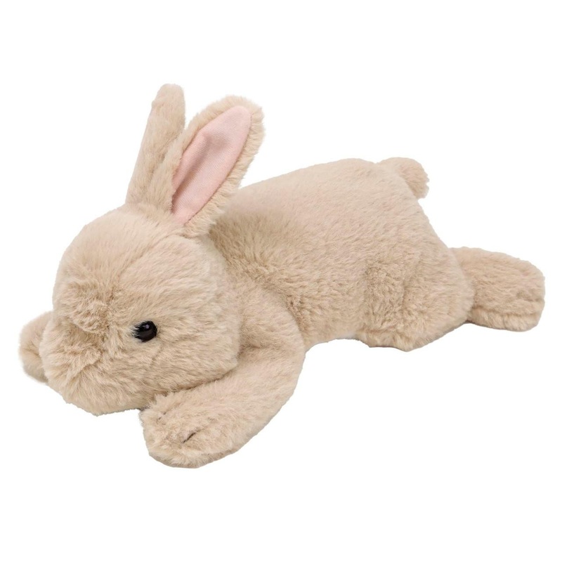 Sun Arrow Cushy Netherland Dwarf Bunny