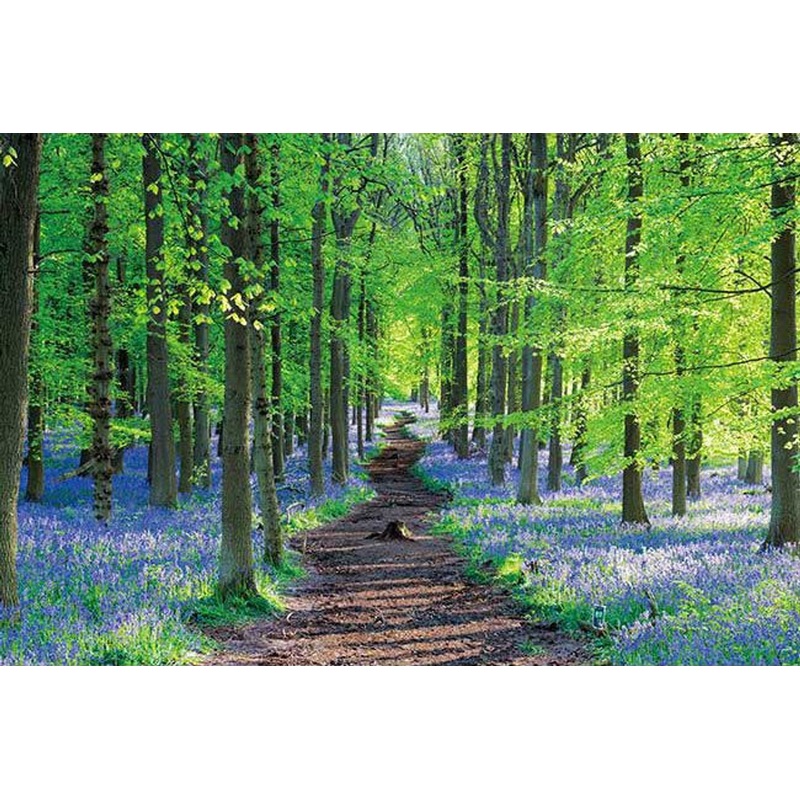 Appleone 1000-862 Jigsaw Puzzle English Bluebells (1000 Pieces)