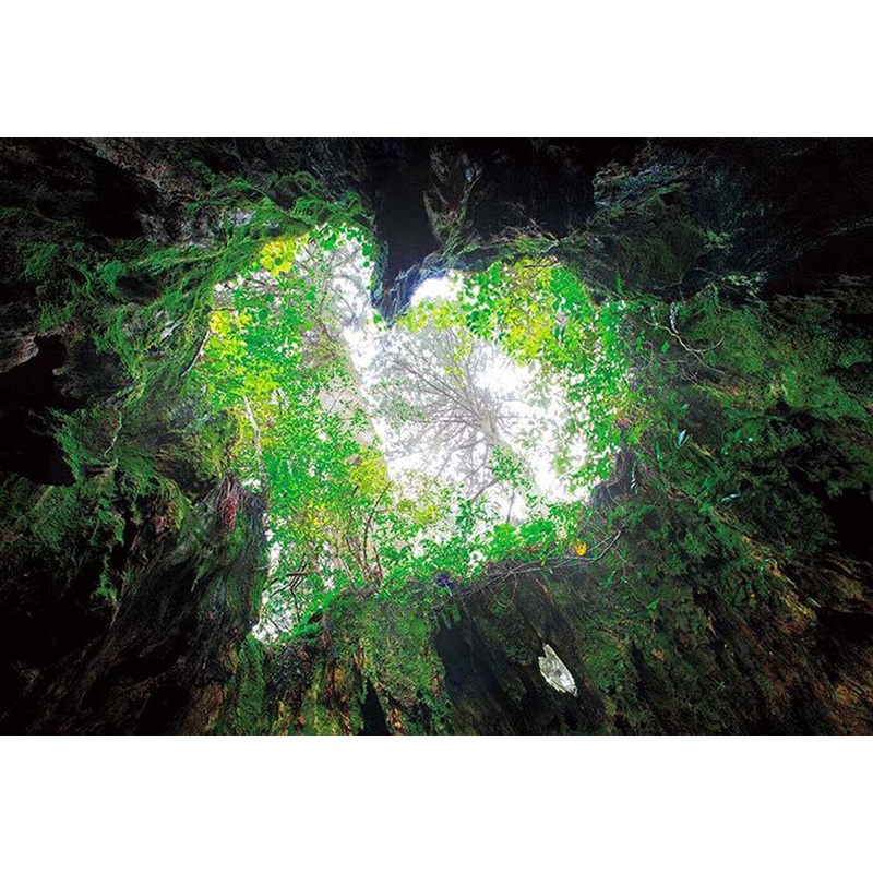 Epoch 79-380s Jigsaw Puzzle Wilson’s Stump (450 S-Pieces)